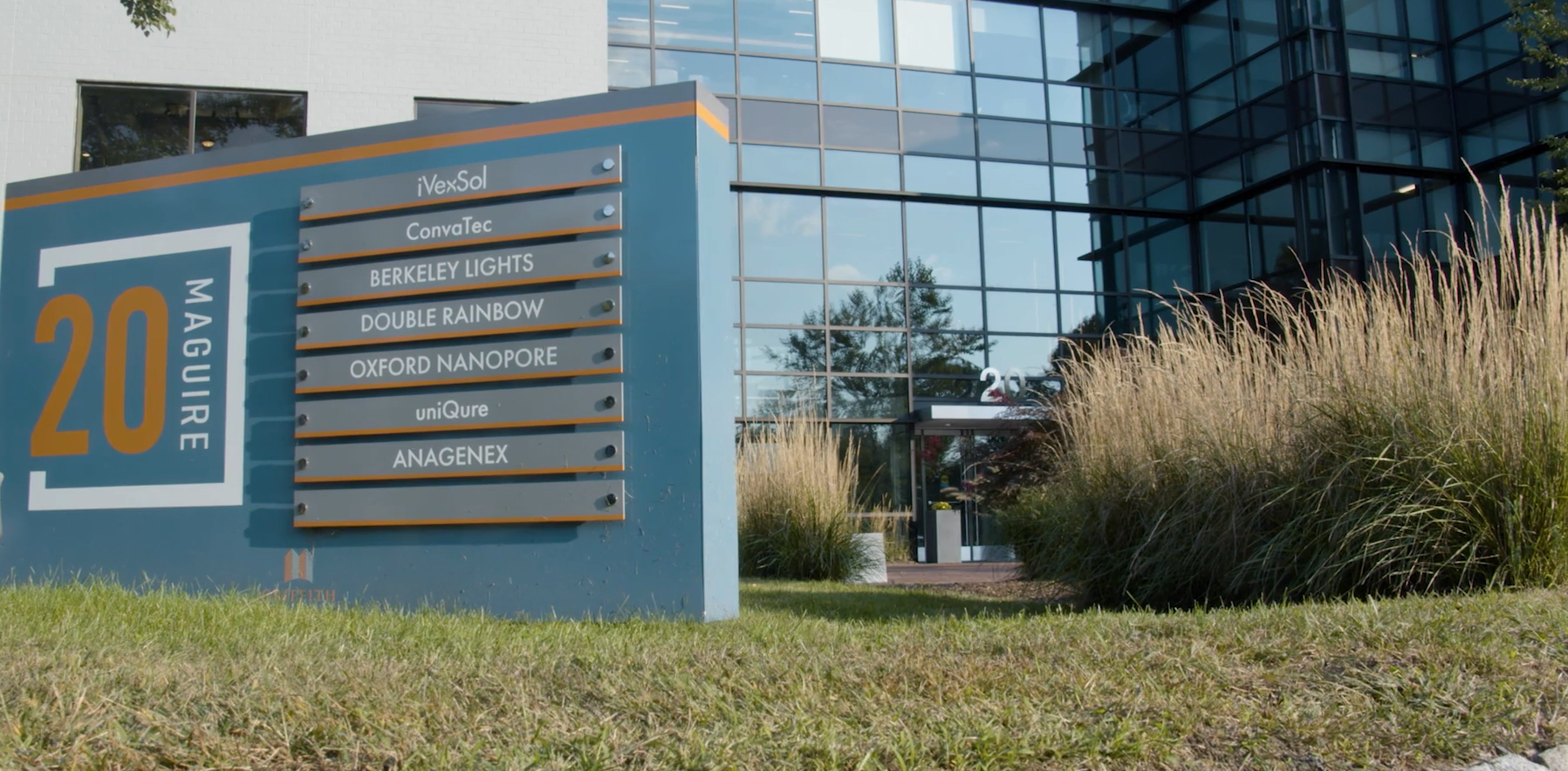 Purpose Built case study: Anagenex // SG